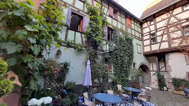 Gîtes - Les bains - Riquewihr