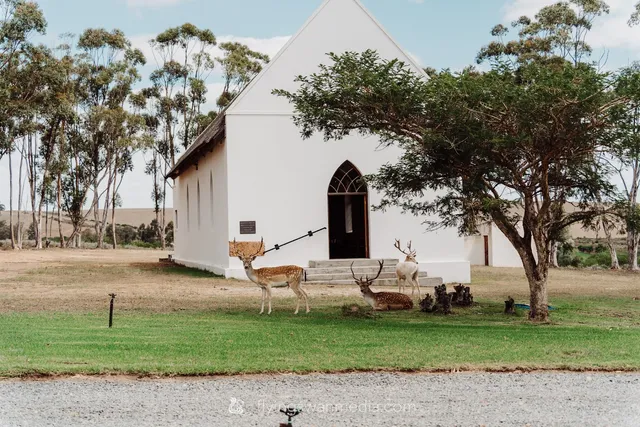 Stormsvlei - Weddings, Events & Accommodation