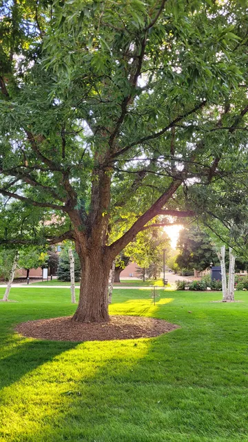 Johnson & Wales Disc Golf Course