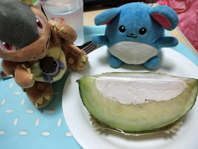 FUJIYA FUJI GRAND Higashihiroshima Store