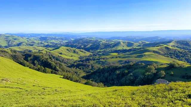 Las Trampas Wilderness Regional Preserve
