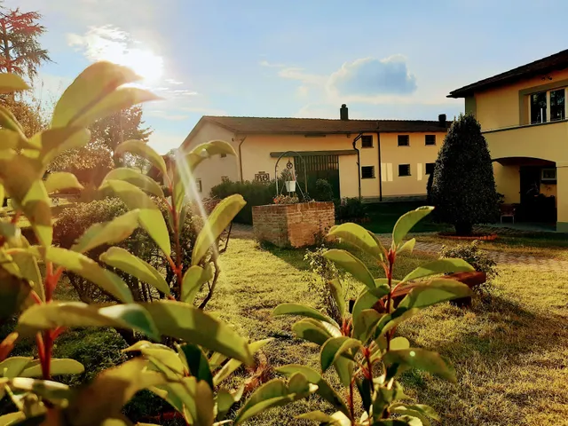 House Farm Selene Rocchi