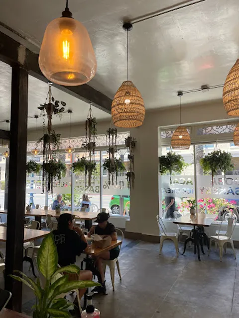 Higher Taste, Plant-Based