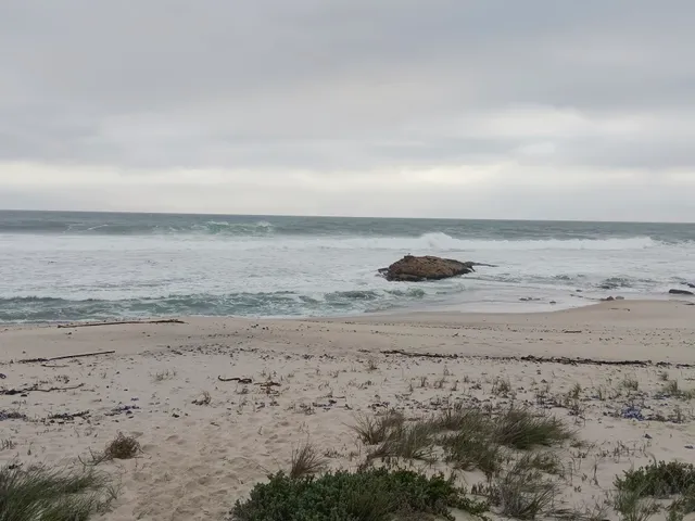 Bokkomblommetjie accommodation