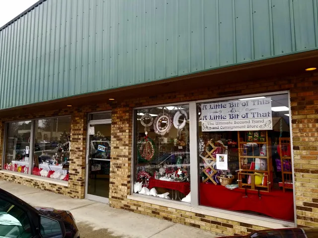 A Little Bit of This & A Little Bit of That LLC.