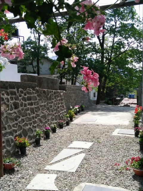 The Pinewood, Nainital