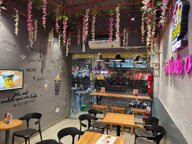 The Shake Maker - Paldi