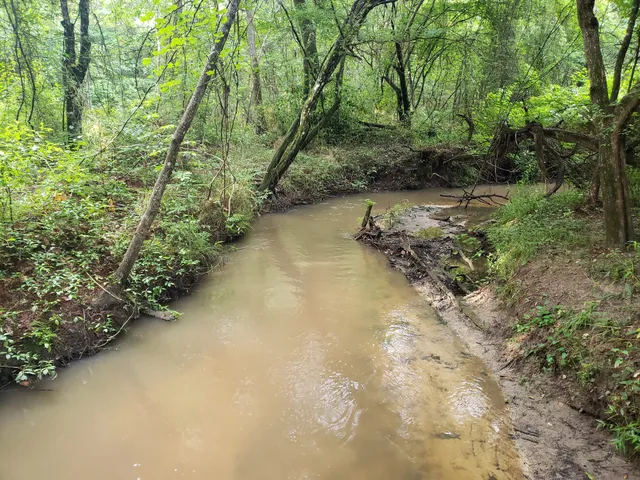Lone Star Hiking Trail - Trailhead #12