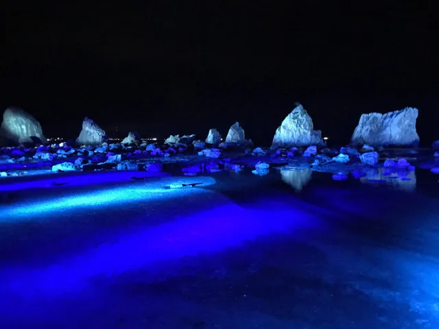 本州最南端の小さなペンション Branchee