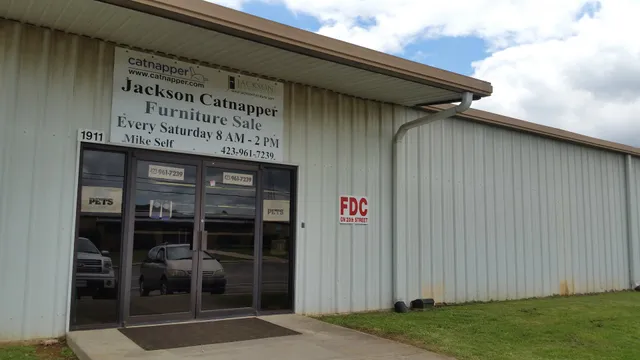 Jackson Catnapper Furniture Sales