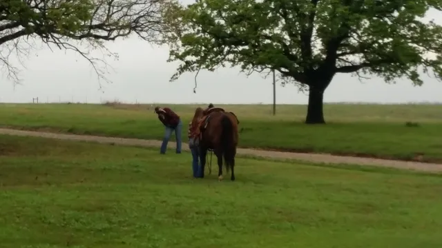 Allie B Country Getaway