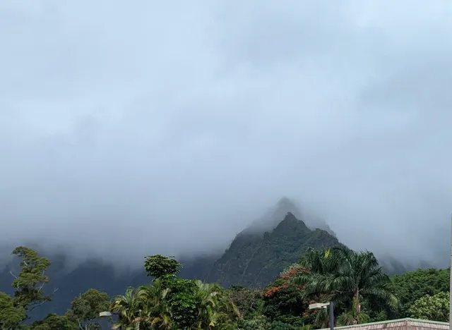 Kāne'ohe District Skate Park