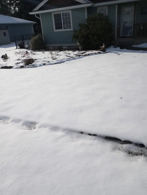 Birch Bay Village Office