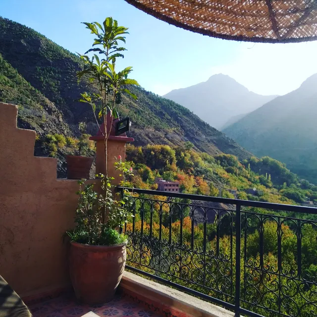 Riad Afla Views
