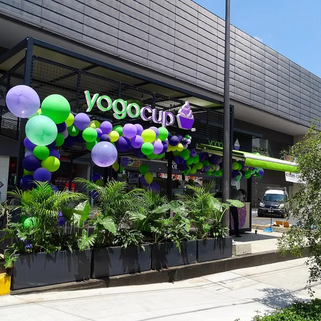 Yogocup Plaza Sanzio