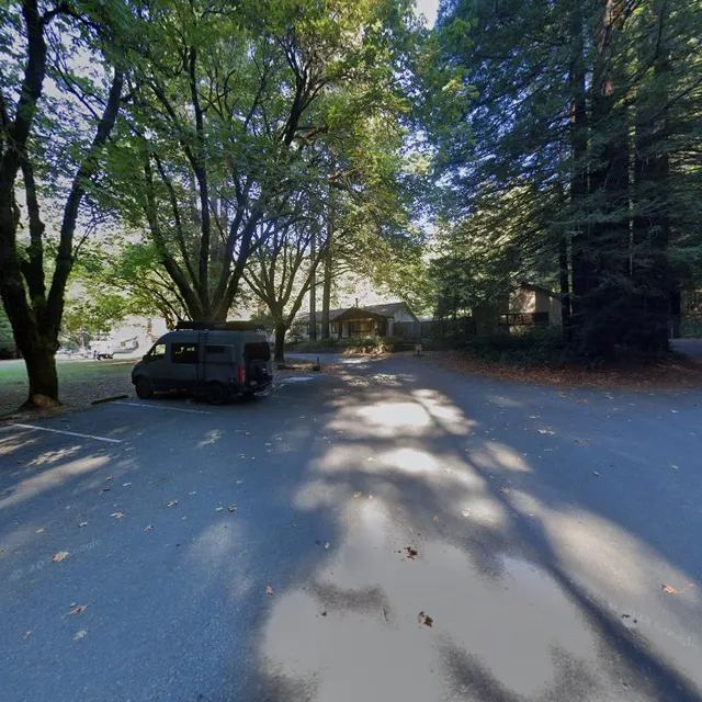 17119 Avenue of the Giants