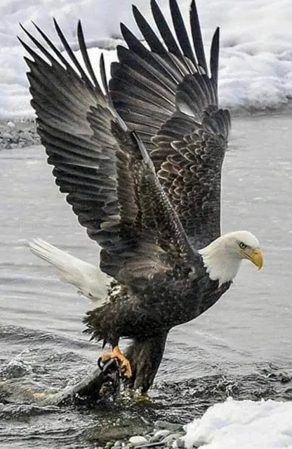 Verner Gallery & Fine Art