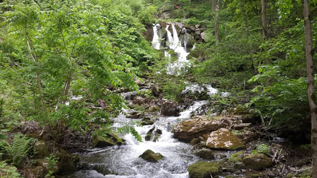 Spring Run Trout Hatchery