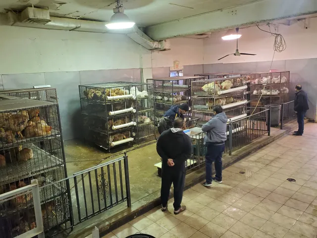 Medina Custom Halal Meats