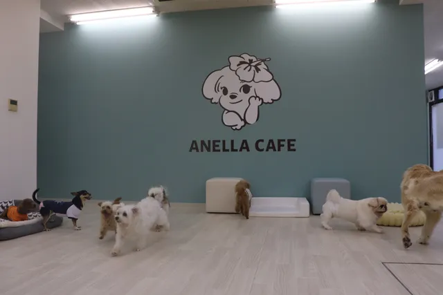 ANELLA CAFE【保護犬ふれあいカフェ】京王稲田堤店