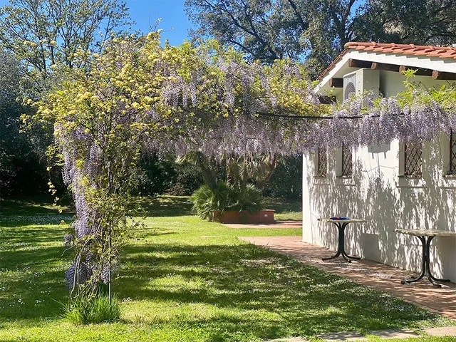 Villette Aldobrandeschi Urban Oasis