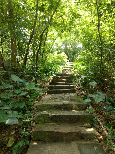 photo-1