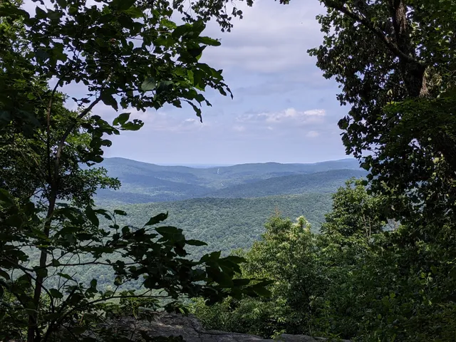 South Cumberland State Park Sherwood Forest