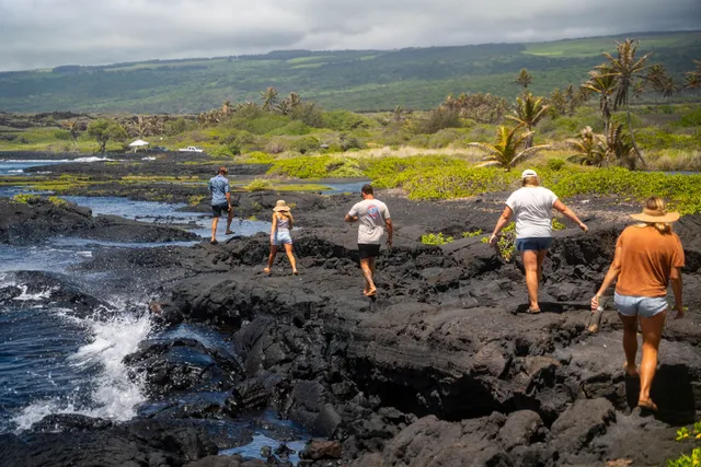 Wild Hawaii Tours