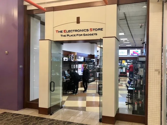 The Electronics Store