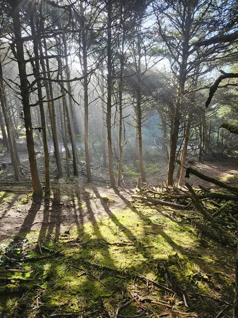 Hobbit Beach Trail Head