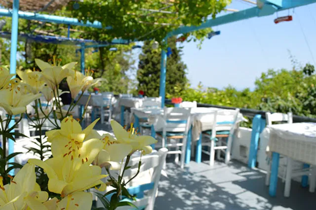 Taverna Zia (No stress)