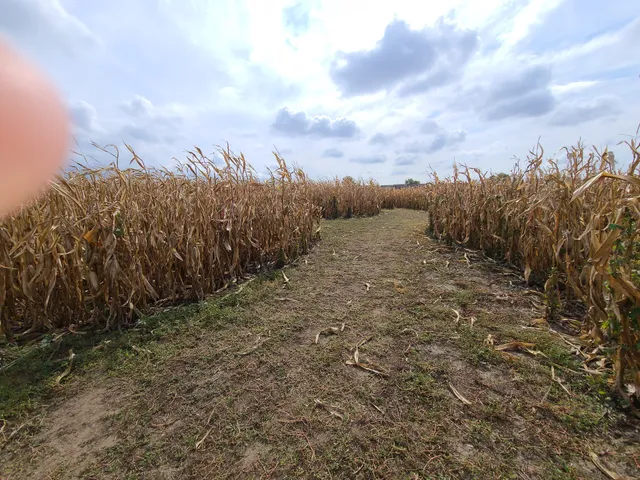 Colony Acres Family Farm