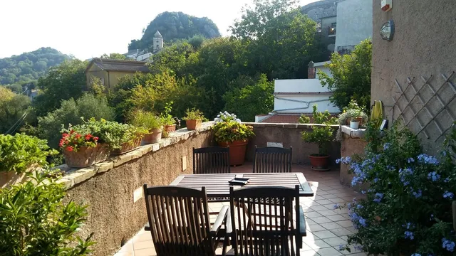 La Zizzania e il Mandarino