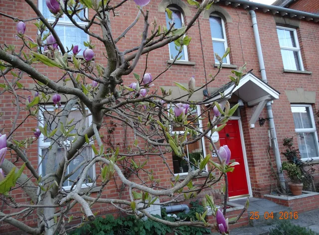 Pilgrims of the Goddess