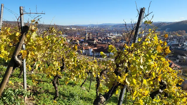 Weinerlebnisweg durch die terrassierte Kulturlandschaft