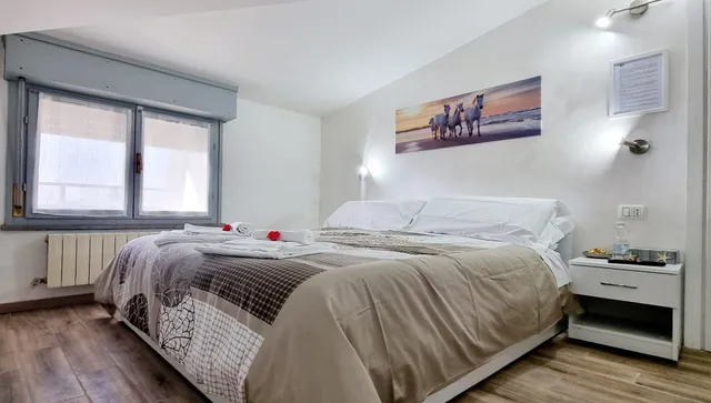 GUEST HOLIDAY MANDRA 12