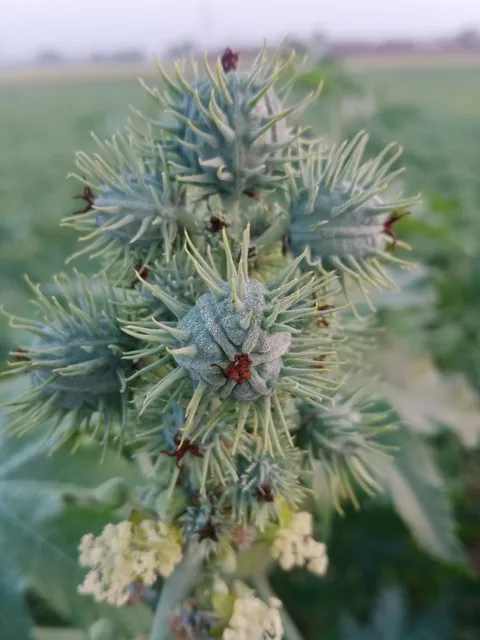 Narowal Sports Complex