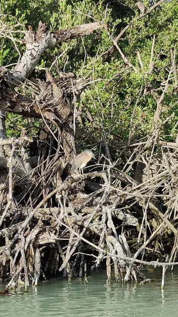 Sian Ka'an Tours Diamante Maya