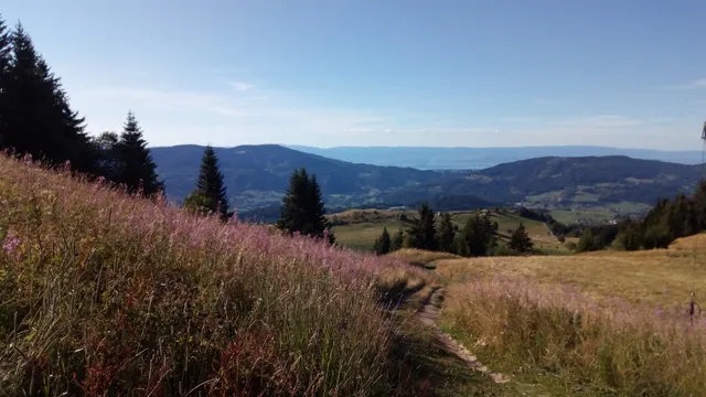 Gîte du Margouillat