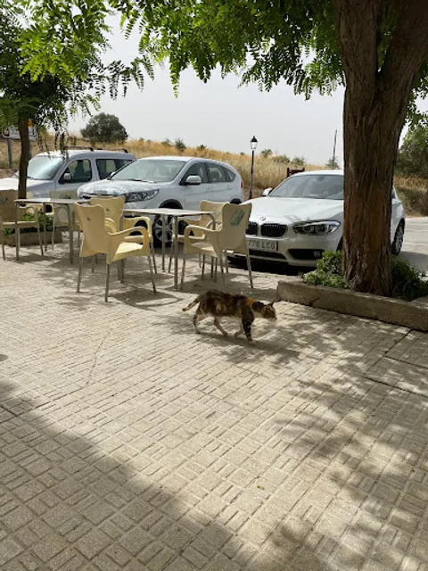 Restaurante & Bodega Haza del Lino