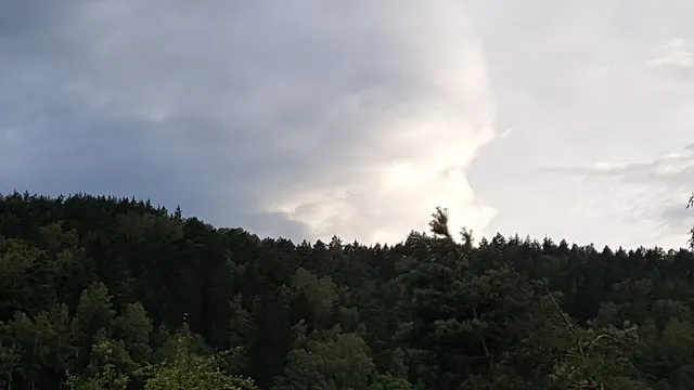 Ferienwohnungen Schiffner