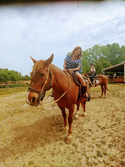 Maybury Riding Stable