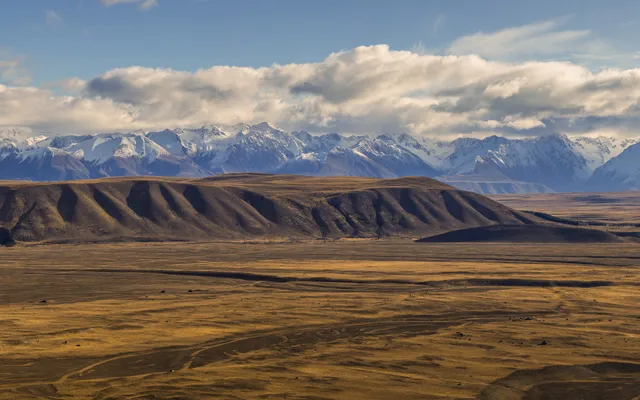 Lake Tekapo Farm Tours