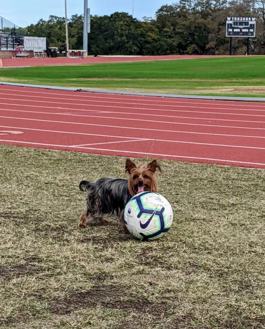 JESSE H. COLLEY TRACK/SOCCER COMPLEX