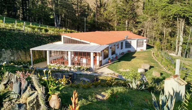 Pinares Del Carrizalito