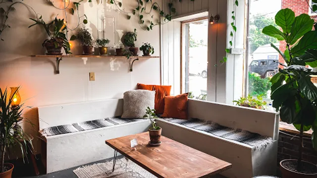 White Moon Cafe & Dark Moon Cocktail Bar