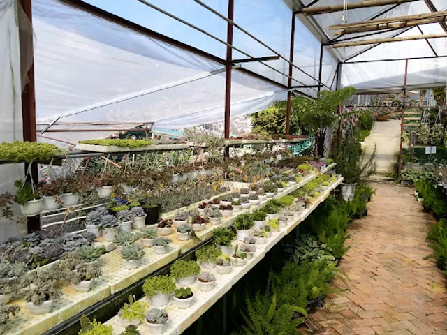 Nhà Của ToToRo (Khu Vườn Mơ - Dalat)