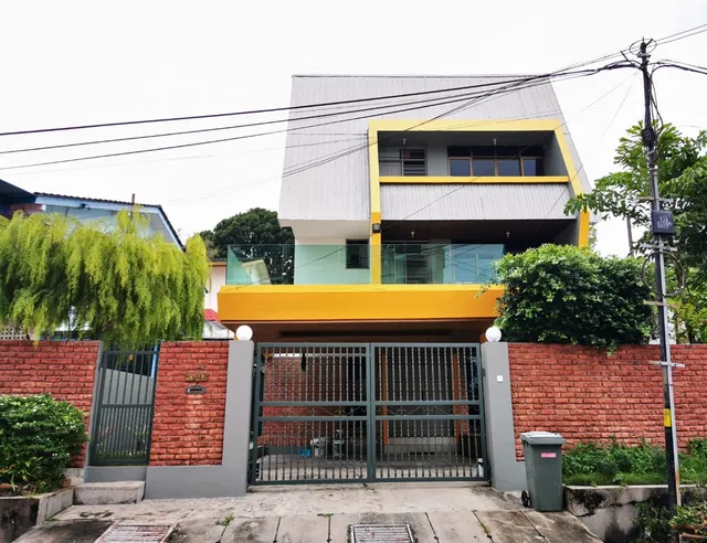 Sea Lion By The Beach
