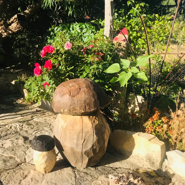 Casas y Apartamentos Rurales Chon Alto Tajo