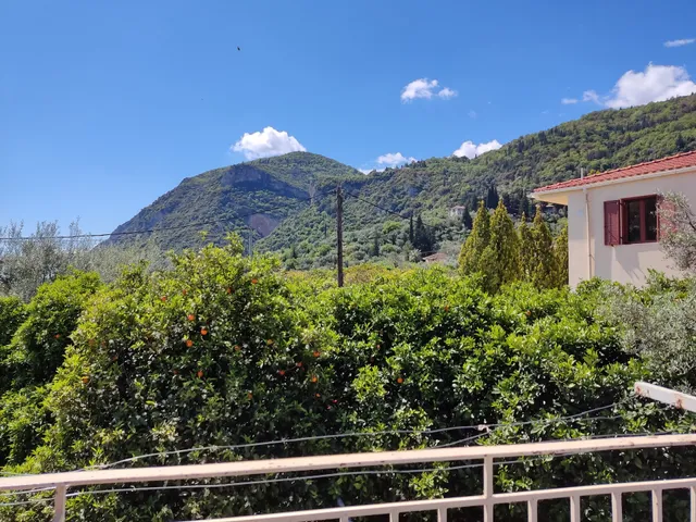 Art flowers and culture appartment